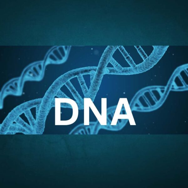 DNA